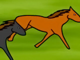 Enjoyable Horse Race