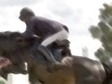 Show Jumping